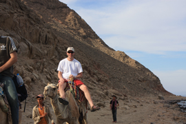 camel3
