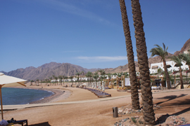 dahab1