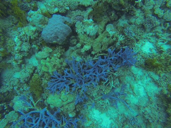 GOPR0089