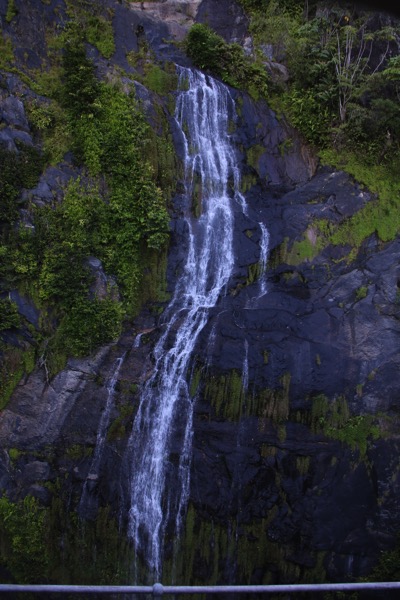 IMG 0690