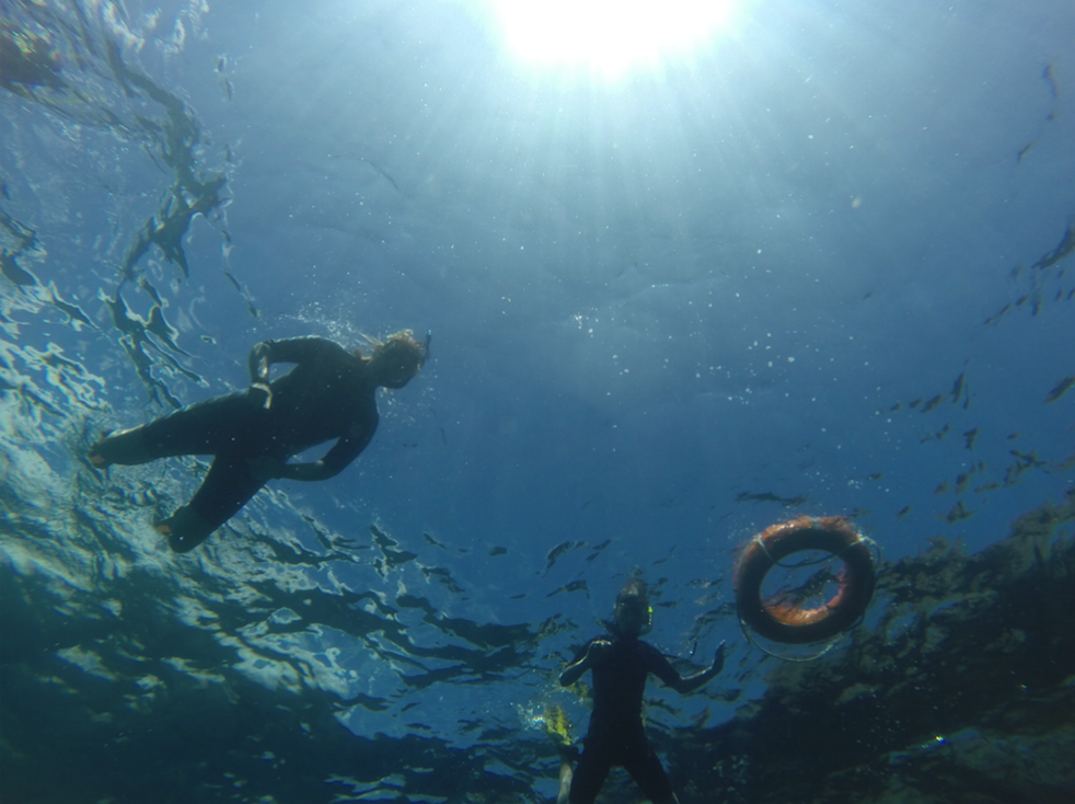 Snorkel