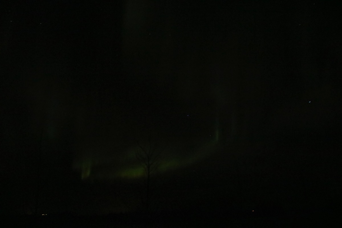 IMG 3355