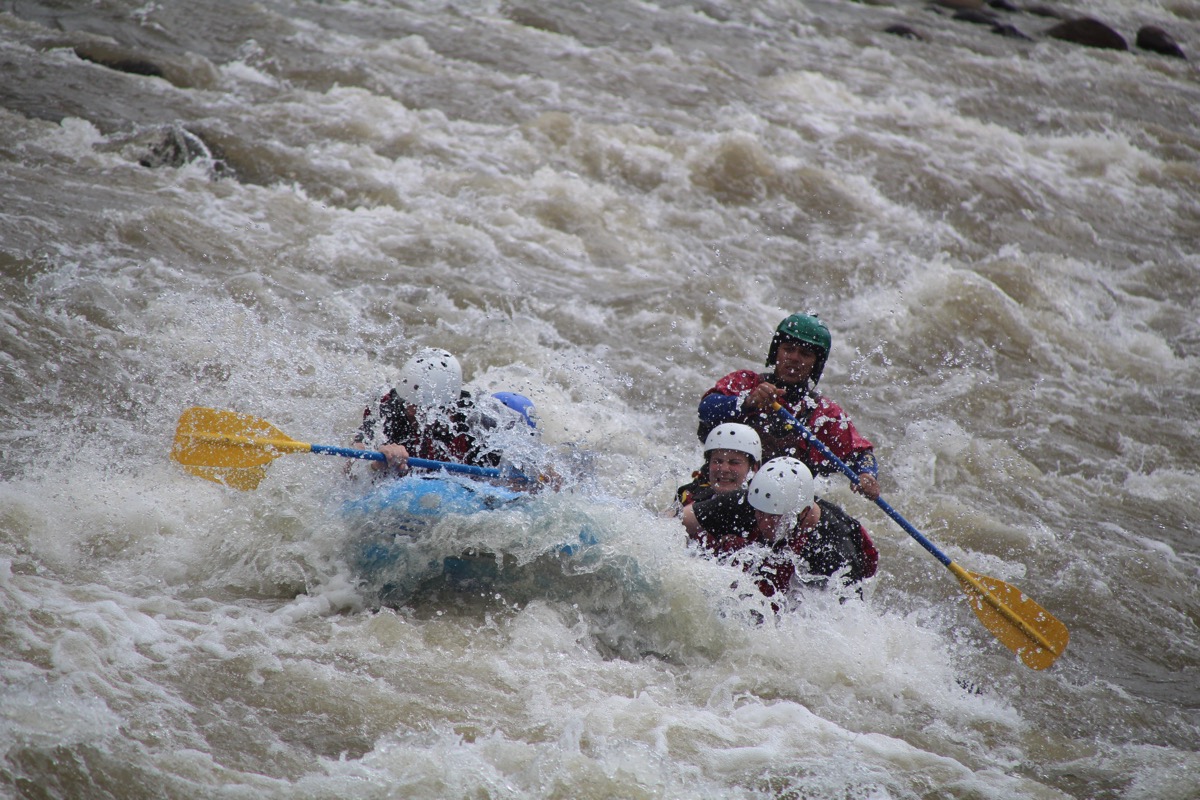 IMG 4413