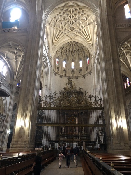 IMG 0210 copy