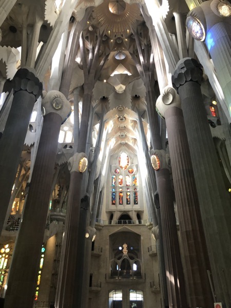 IMG 0366 copy