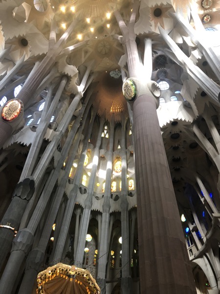 IMG 0375 copy