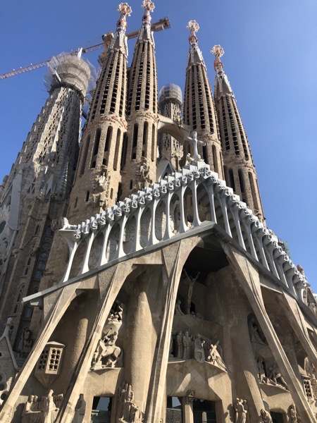 IMG 0423 copy