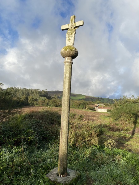 IMG 1804 copy