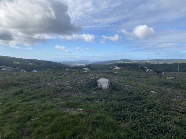 IMG 1826 copy