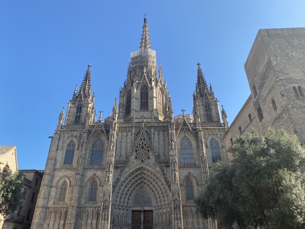 IMG 1902 copy