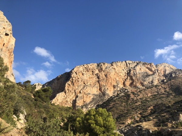IMG 0497 copy