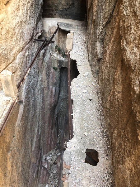 IMG 0528 2 copy