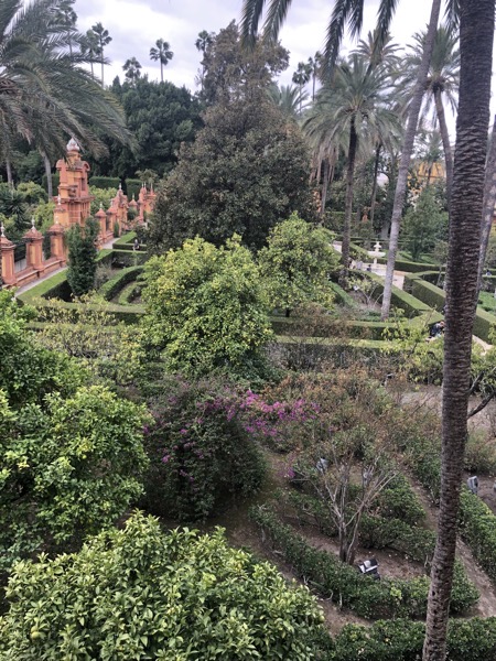 IMG 0582 copy