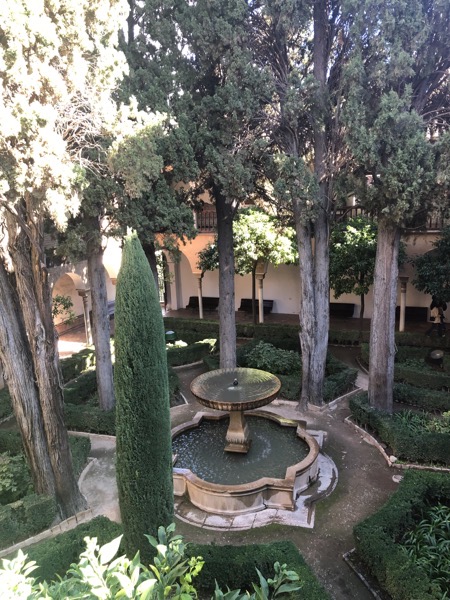 IMG 0732 copy
