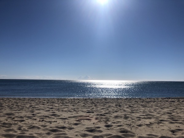 IMG 0769 copy