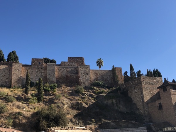 IMG 0838 copy