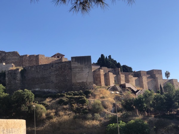 IMG 0842 copy