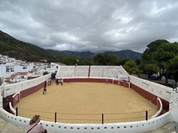 IMG 2045 copy