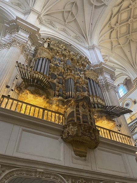 IMG 2097 copy